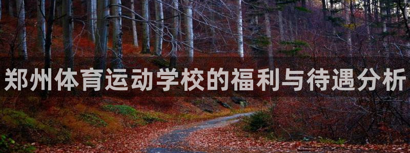 3377体育官方正版app新能源：郑州体育运动学校的