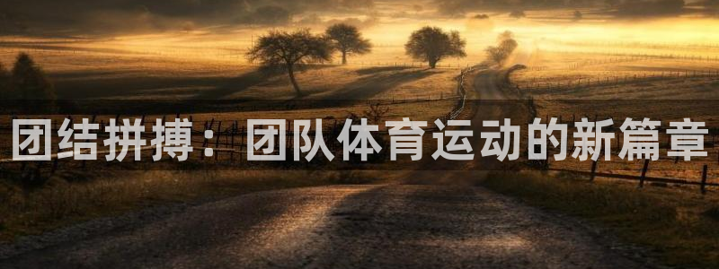 3377体育官方正版app集团简介：团结拼搏：团队体