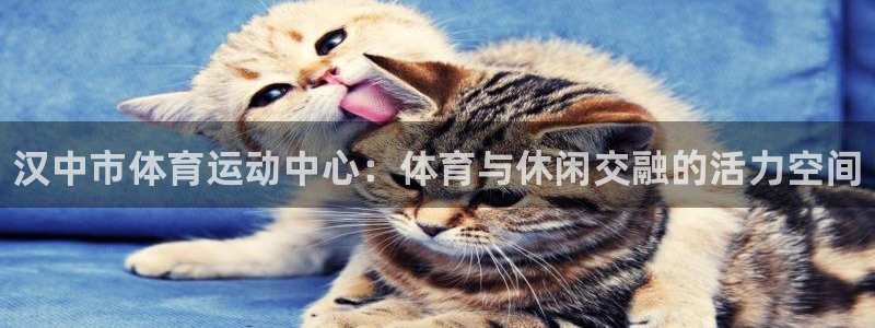 3377体育官方正版app新能源