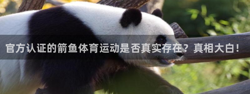 3377体育官方正版app集团E.ON