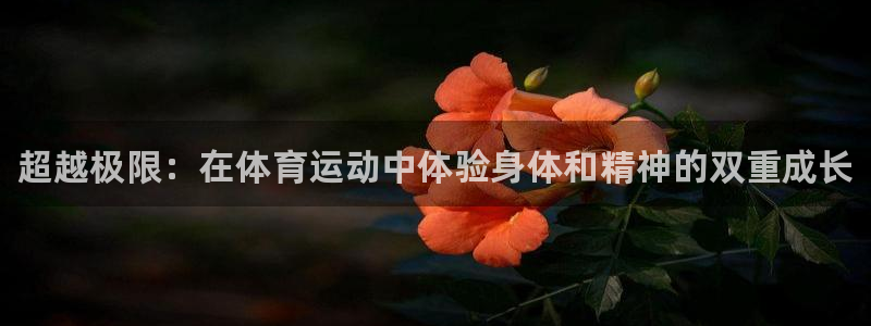 3377体育官方正版app五金厂：超越极限：在体育运