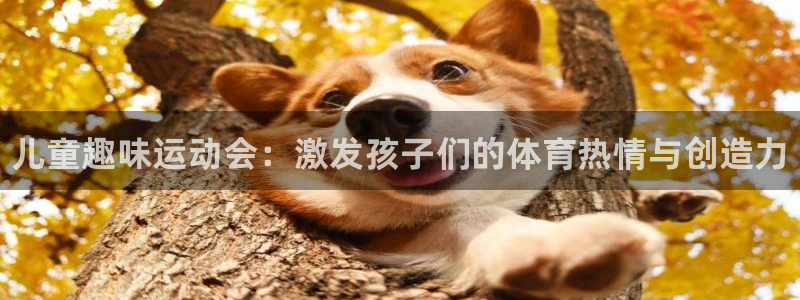 3377体育官方正版app娱乐：儿童趣味运动会：激发