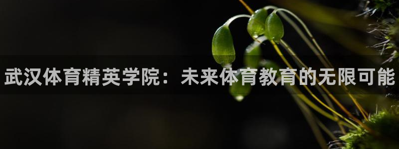 3377体育官网下载招商电话是多少啊：武汉体育精英学院：未来