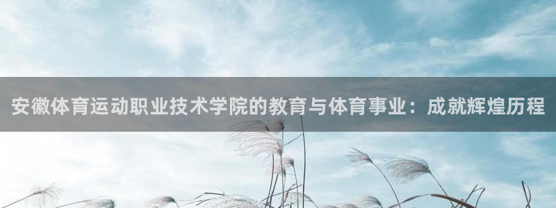 3377体育官网下载平台是正规平台吗安全吗：安徽体育运动职业