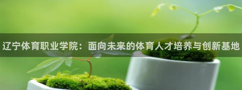 3377体育官方正版app官网：辽宁体育职业学院：面