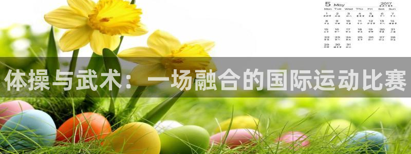 3377体育官网下载平台注册要钱吗是真的吗：体操与武