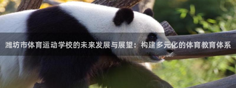 3377体育官网下载软件：潍坊市体育运动学校的未来发展与展望