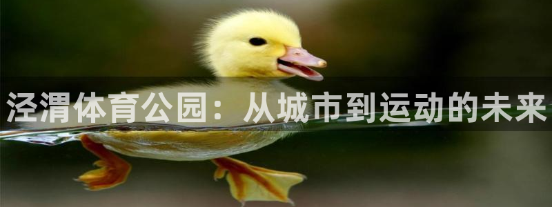 3377体育官方正版app集团：泾渭体育公园：从城市
