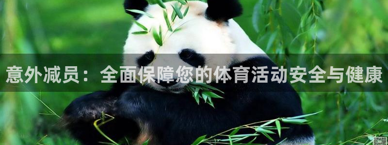 3377体育官方正版app集团简介：意外减员：全面保障您的体