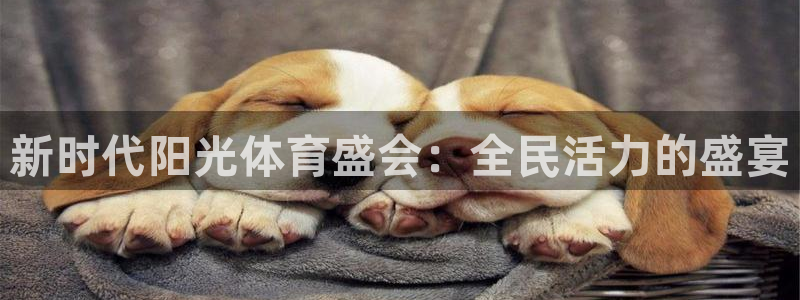 3377体育官方正版app代理：新时代阳光体育盛会：