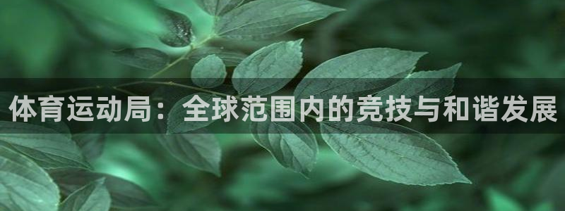 3377体育官方正版app集团官网首页：体育运动局：全球范围