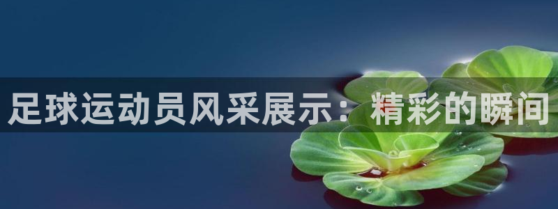 3377体育官方正版app官方：足球运动员风采展示：