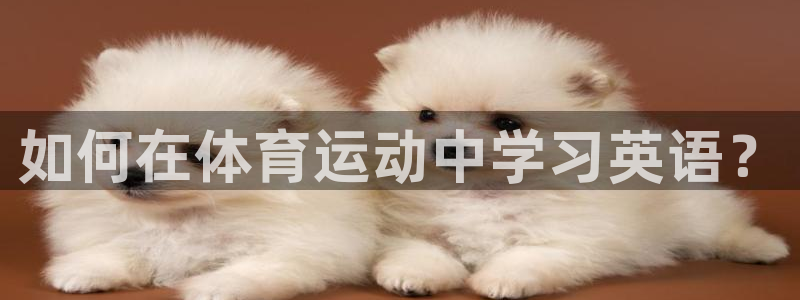 3377体育官网下载招商电话地址查询：如何在体育运动