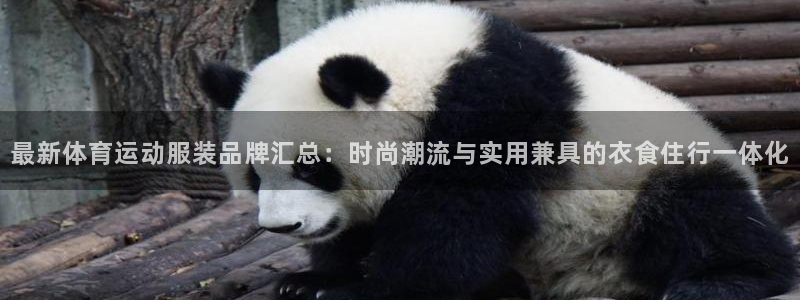 3377体育官网下载招商电话是多少号码：最新体育运动