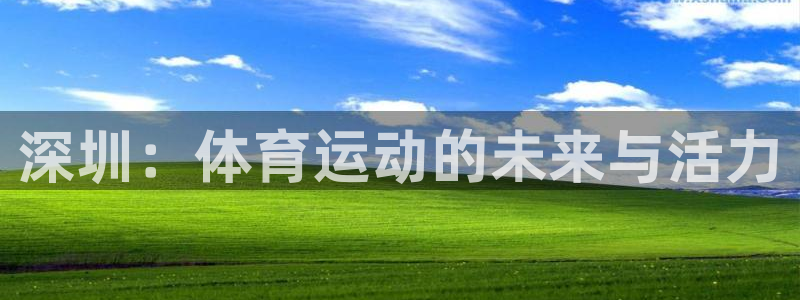 3377体育官方正版app官网：深圳：体育运动的未来