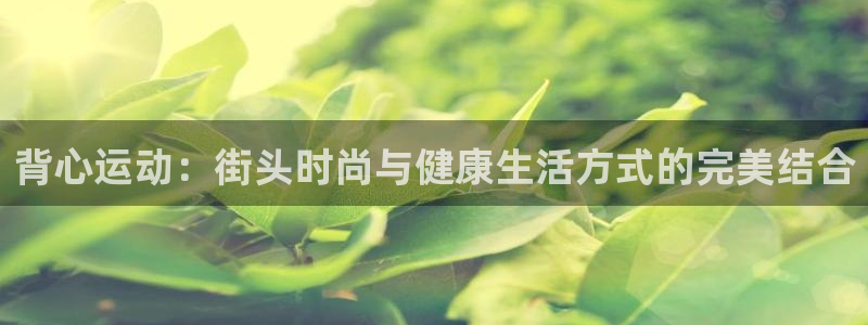 3377体育官网下载平台注册流程图：背心运动：街头时