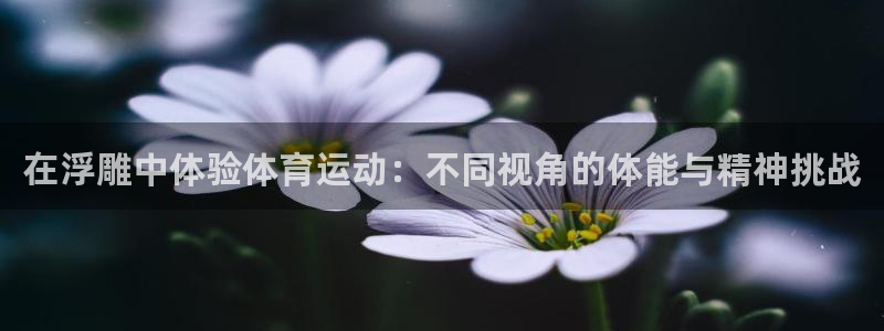 3377体育官方正版app娱乐网站：在浮雕中体验体育