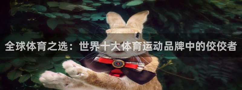 3377体育官网下载是干嘛的公司：全球体育之选：世界
