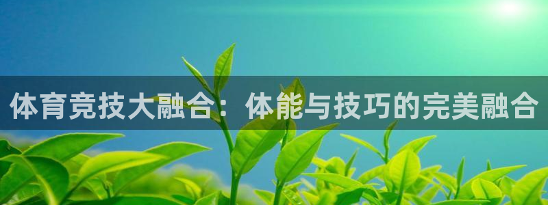 3377体育官网下载开户：体育竞技大融合：体能与技巧