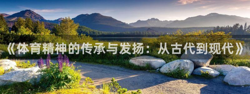 3377体育官网下载平台：《体育精神的传承与发扬：从