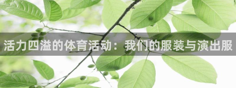 3377体育官网下载平台注册流程视频：活力四溢的体育