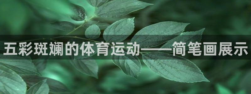 3377体育官方正版app科技：五彩斑斓的体育运动—