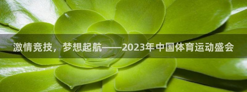 德国3377体育官方正版app集团：激情竞技，梦想起航——2