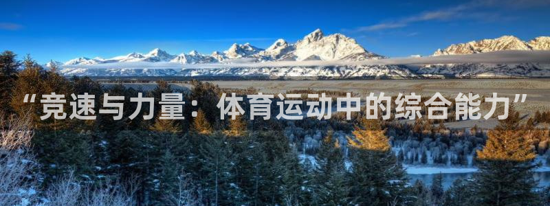 3377体育官方正版app娱乐平台：“竞速与力量：体