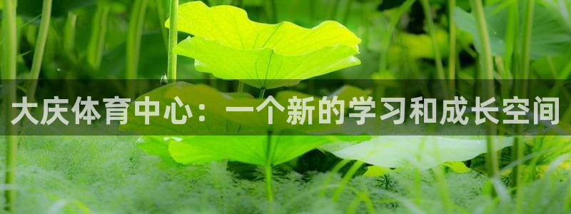 3377体育官方正版app集团简介