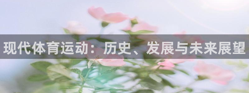 3377体育官方正版app娱乐