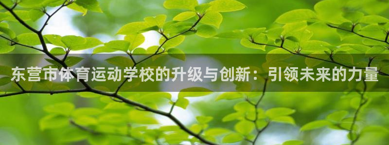 3377体育官方正版app集团简介：东营市体育运动学校的升级