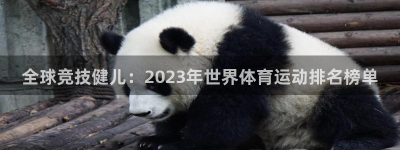 3377体育官方正版app集团logo：全球竞技健儿