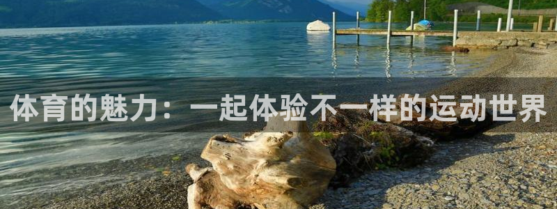 3377体育官方正版app娱乐：体育的魅力：一起体验不一样的