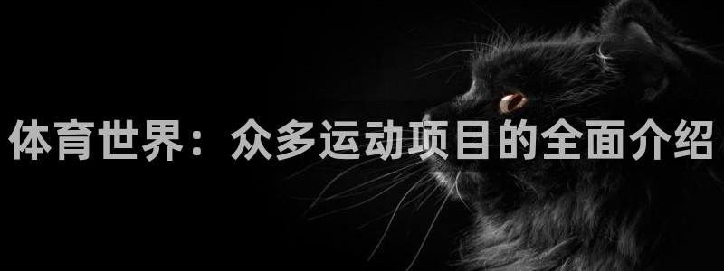 3377体育官方正版app集团：体育世界：众多运动项目的全面