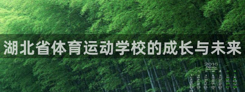 3377体育官方正版app官方：湖北省体育运动学校的成长与未
