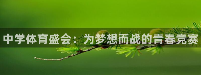 3377体育官网下载招商：中学体育盛会：为梦想而战的青春竞赛