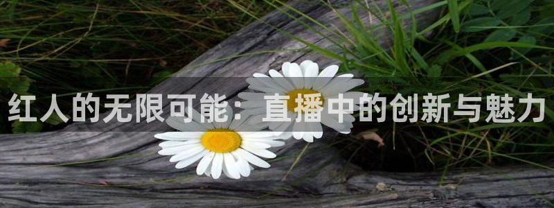 857免费直播体育nba：红人的无限可能：直播中的创新与魅力