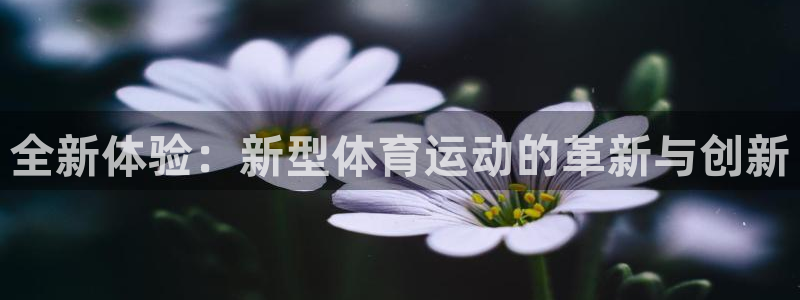  3377体育什么台子：全新体验：新型体育运动的革新与创新
