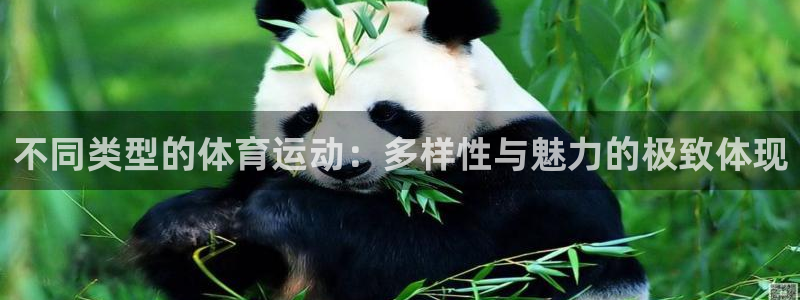  3377体育官网址：不同类型的体育运动：多样性与魅力的极致体