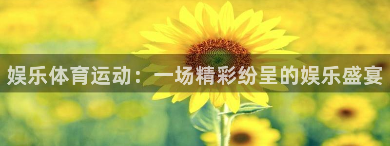 3377体育犯法吗：娱乐体育运动：一