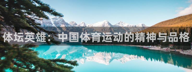 3377体育电子：体坛英雄：中国体育