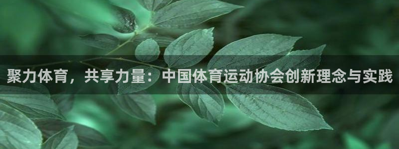 3377体育是割韭菜平台吗知乎：聚力体育，共享力量：中国体育