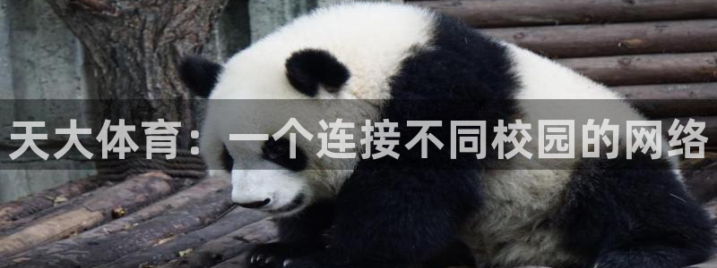 3377体育合法吗：天大体育：一个连
