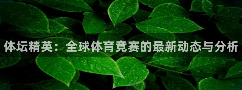 3377体育被国家取消了吗今天：体坛精英：全球体育竞赛的最新