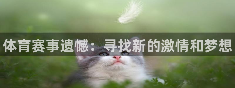  3377体育为什么提不出来：体育赛事遗憾：寻找新的激情和梦想