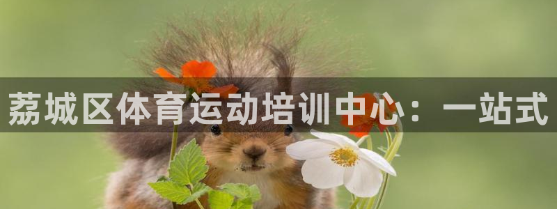 3377体育被国家取消了吗：荔城区体