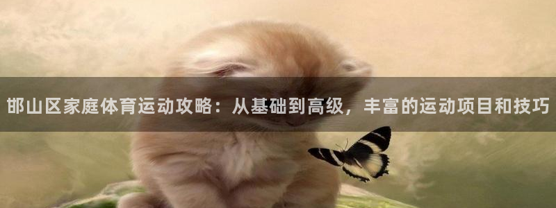 3377体育官网址：邯山区家庭体育运动攻略：从基础到高级，丰