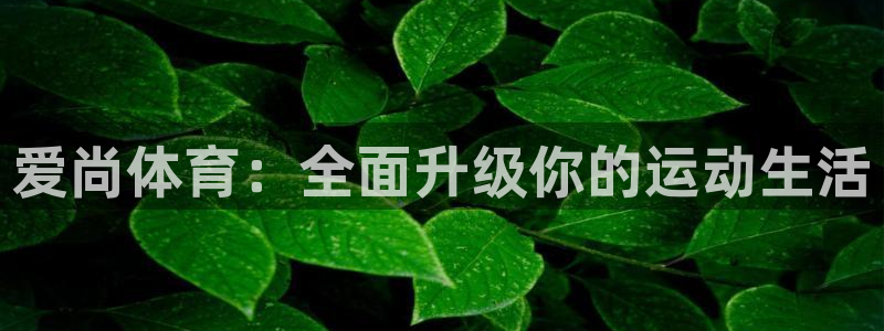 3377体育十大必吃榜：爱尚体育：全