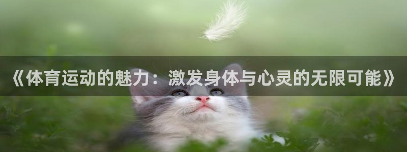 3377体育是正规平台吗还是黑金：《体育运动的魅力：激发身体