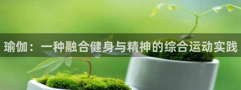 3377体育app倒闭了吗知乎：瑜伽